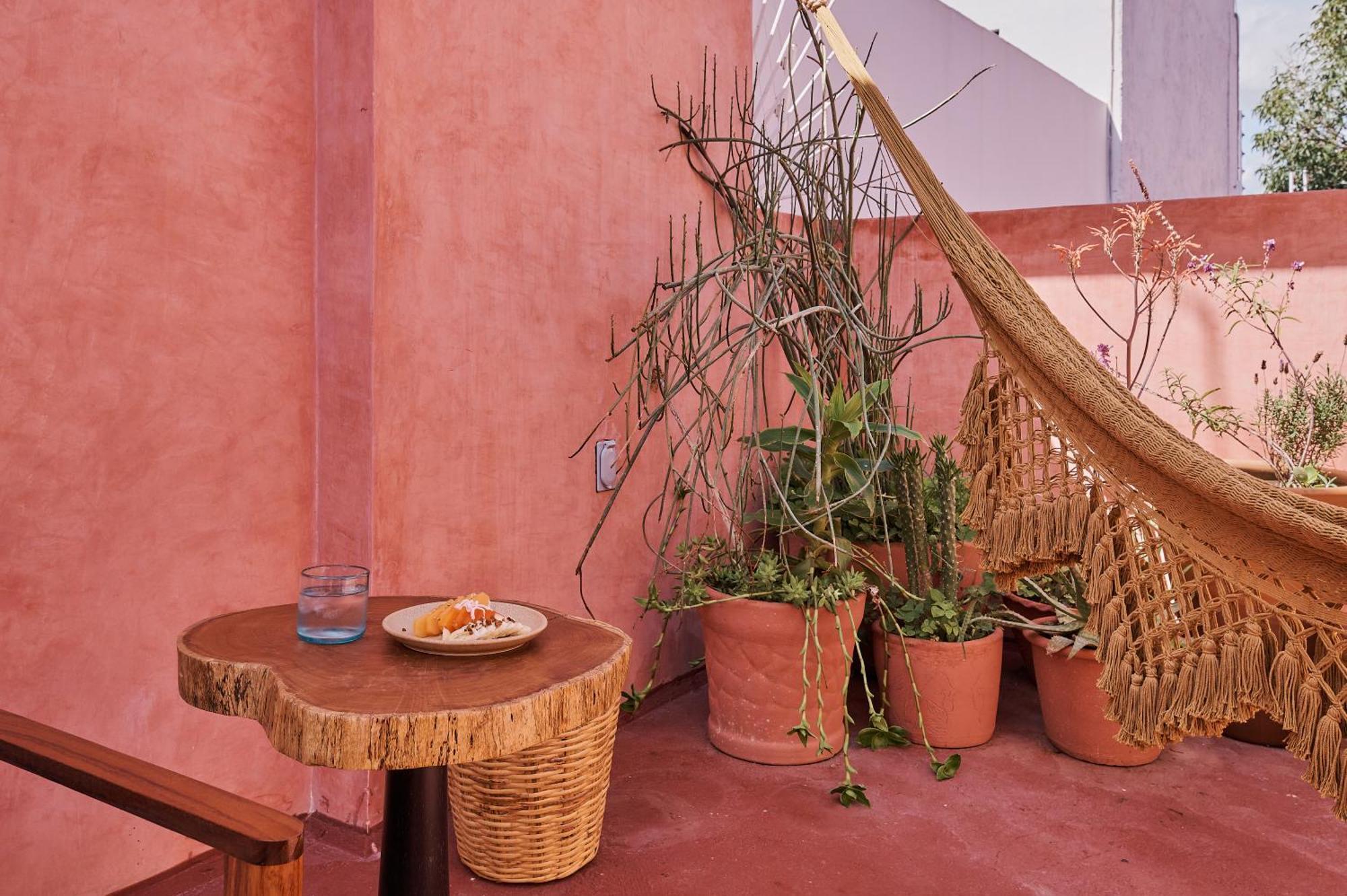 Oaxaca Hotel Materia מראה חיצוני תמונה