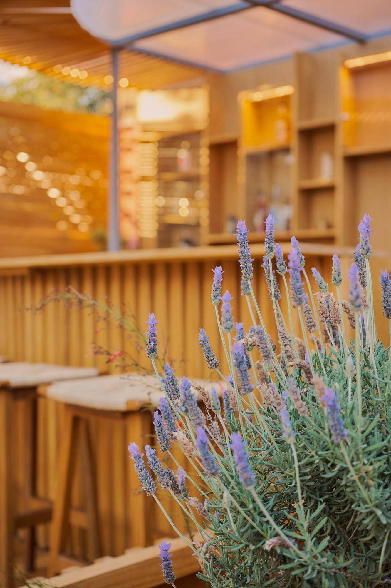 Oaxaca Hotel Materia מראה חיצוני תמונה